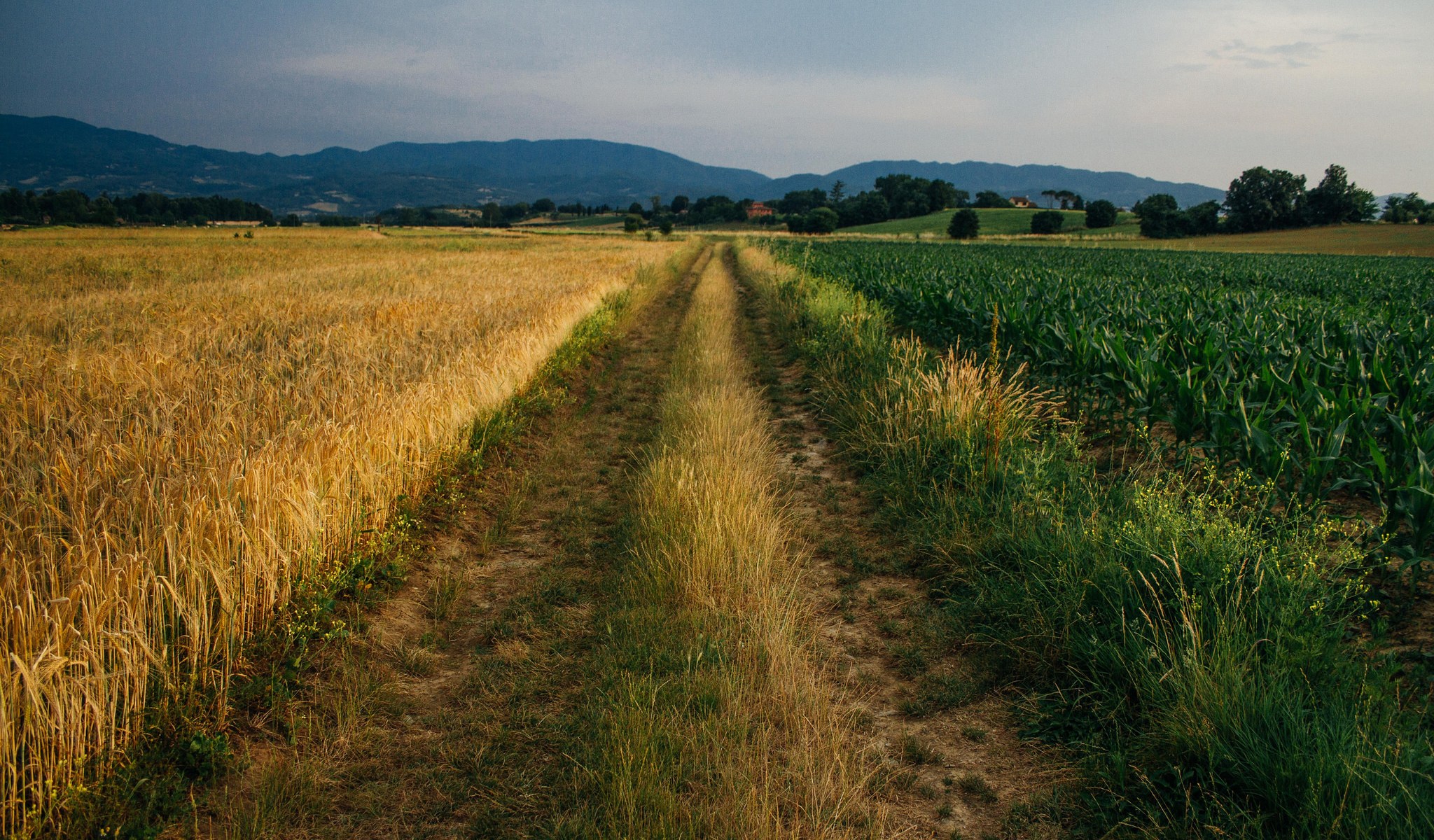 Photos: CC Image courtesy of Masterbutler, on Flickr