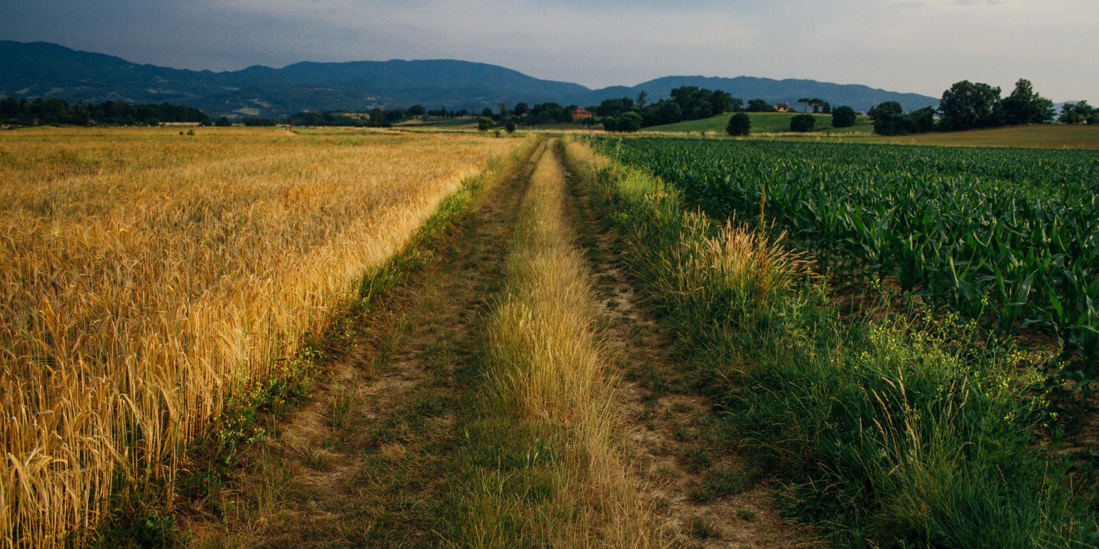 Photos: CC Image courtesy of Masterbutler, on Flickr